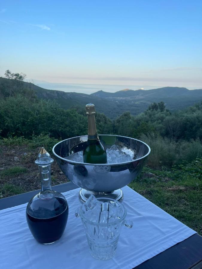 Maison D'Americains Lapedina Pietracorbara Buitenkant foto