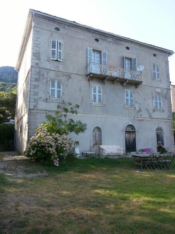 Maison D'Americains Lapedina Pietracorbara Buitenkant foto